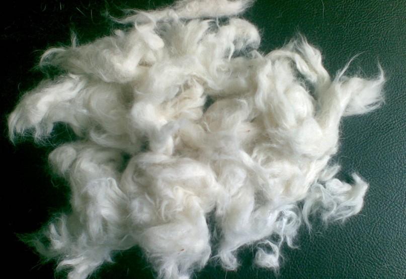 羊毛